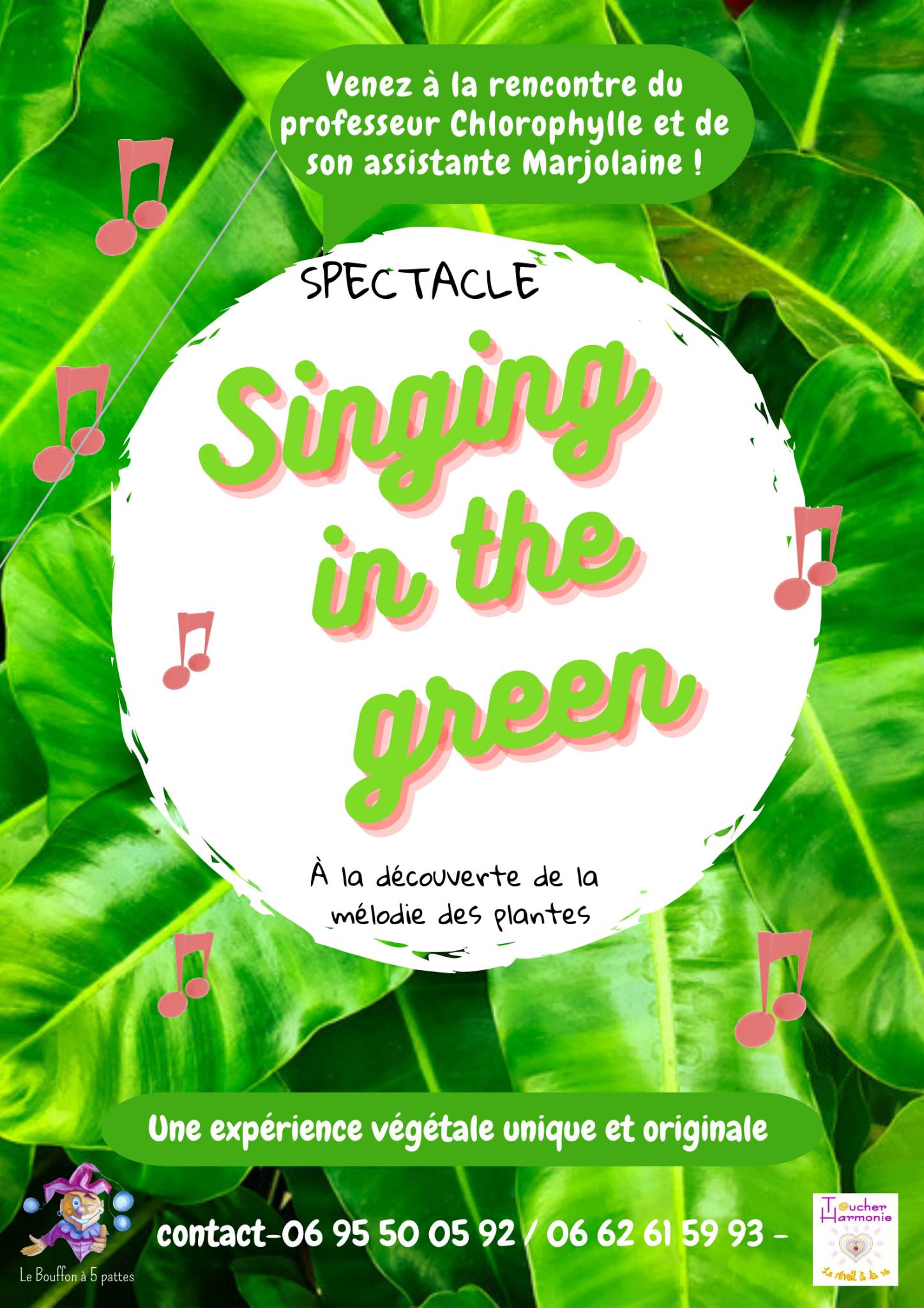 You are currently viewing Spectacle Singing in the green